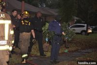 Alger Park Blaze Exposes Cannabis Farm