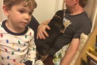 Dallas Tornadoes Be Ready When Disaster Strikes