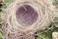 Life’s Four Big Moves: How They Transform Your Living Space