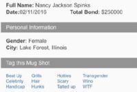 Millennium Title Owner Nancy Jackson Carroll Arrested for Theft in Illinois