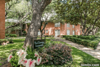 The Pink Wall’s Hidden Gem A Midcentury Modern Pied-à-terre of Pure Style