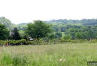 SecondShelters Celina Texas Ranch Inspired Wines