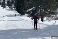 Dallas-Fort Worth Real Estate Market Keeps Its Sizzle, Races as Fourth Fastest