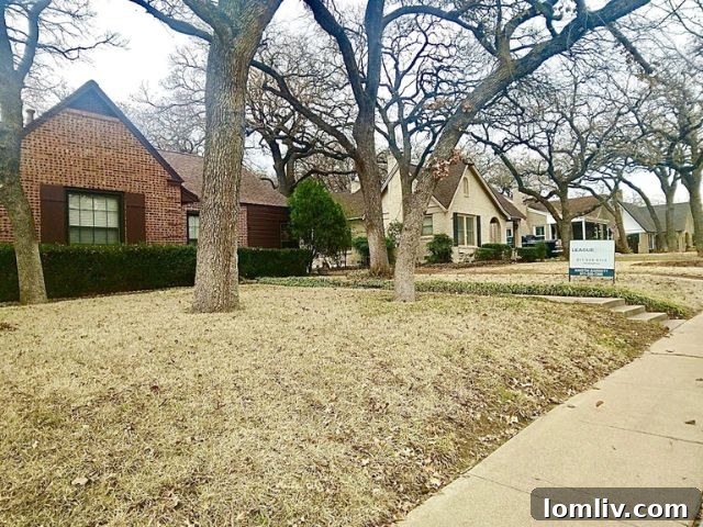 Oakhurst: A Verdant Canopy Proving Life's Abundance 4 A stately residence in Oakhurst, showcasing classic brickwork and architectural details typical of the neighborhood's historic homes.