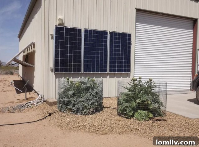 Remote location of the Yucca desert home