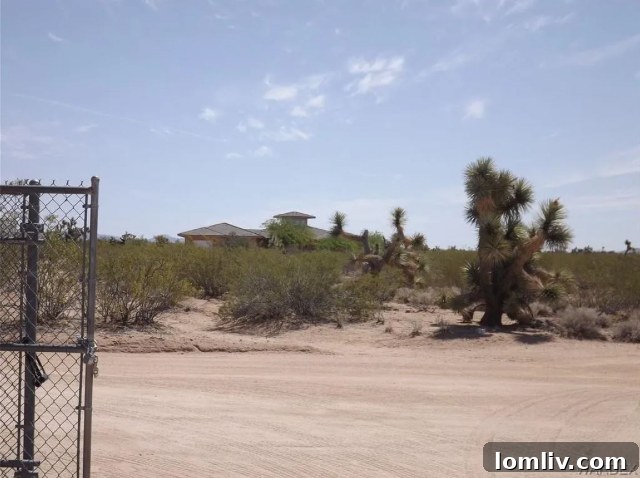 Spacious interior ready for customization