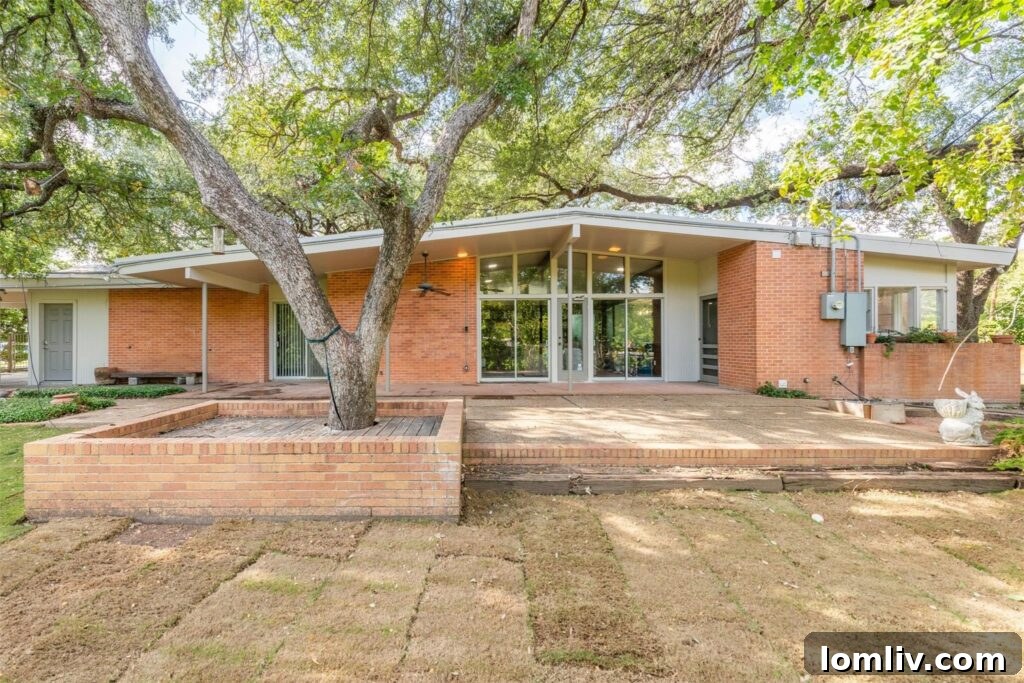 Expansive Backyard with Mature Trees and Covered Carport