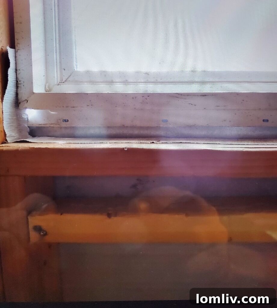 A newly installed window positioned backward, showing signs of water intrusion around the sill.