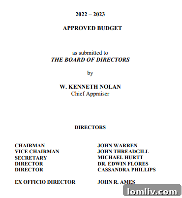 DCAD Budget Snapshot 1