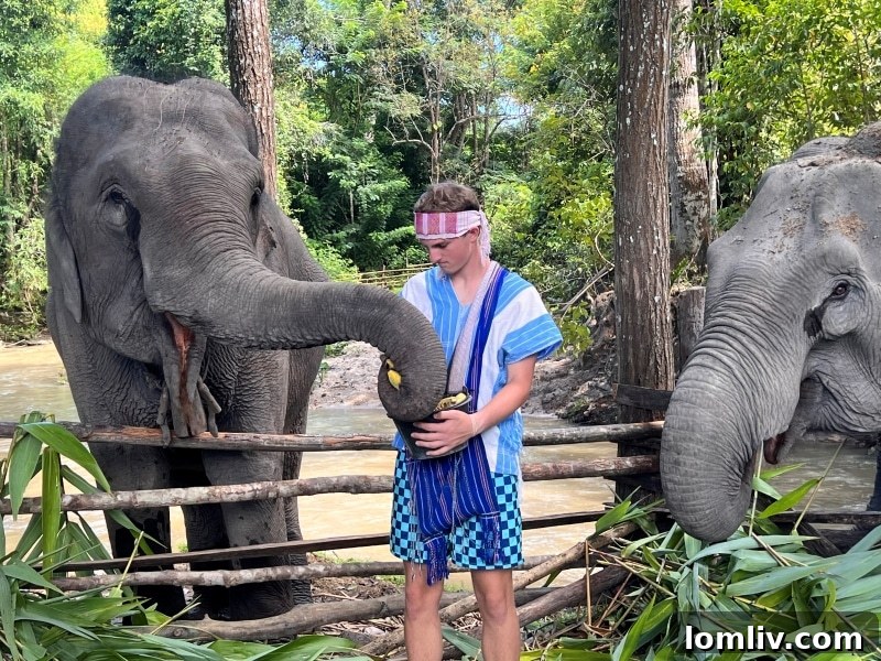 GlobeAware Dallas: Pioneering Life-Changing Voluntourism Experiences 8 Toby Young interacting respectfully with an elephant at a sanctuary.