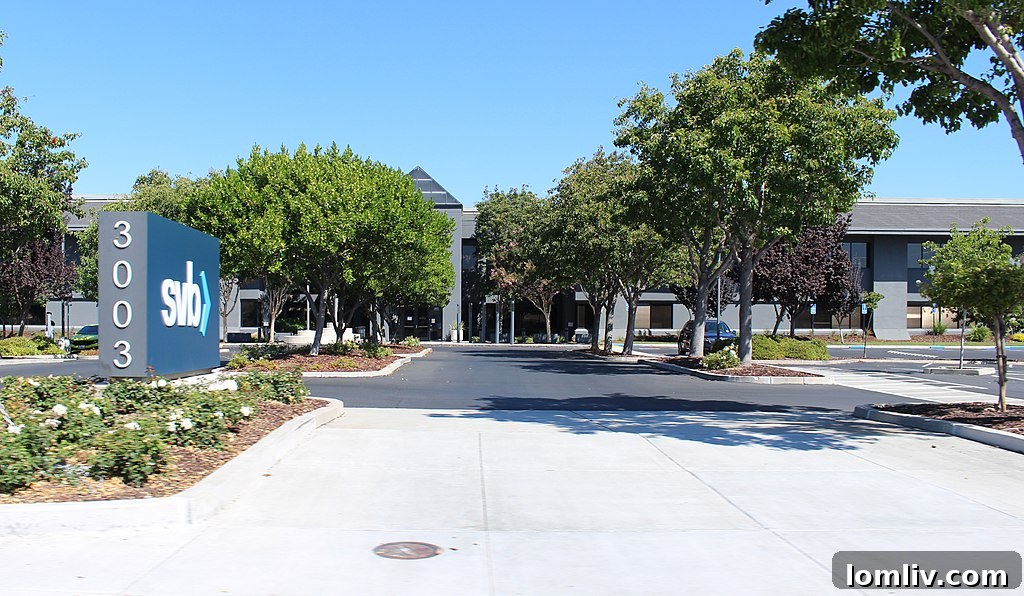 Financial market data, representing the volatile economic situation post-SVB collapse