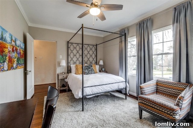 Cozy Study or Reading Room