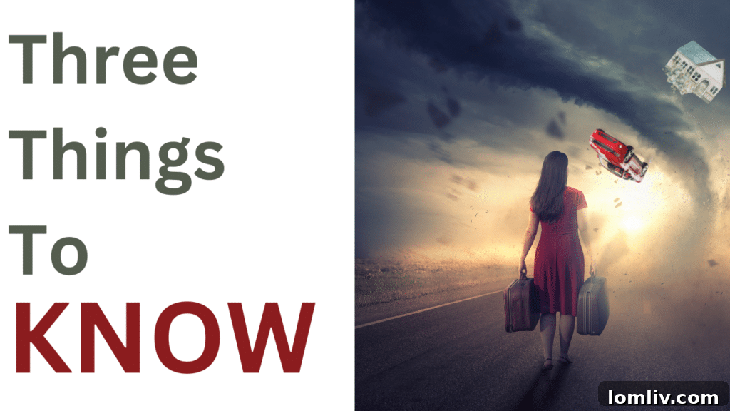 Three Essential Insights for Navigating the Housing Market Turmoil 2 Three Things to Know