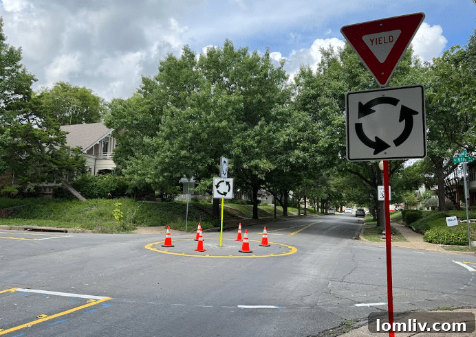 Dallas District 1's 17% Crime Drop: A Testament to Community Engagement 5 Winnetka Heights traffic island in Dallas