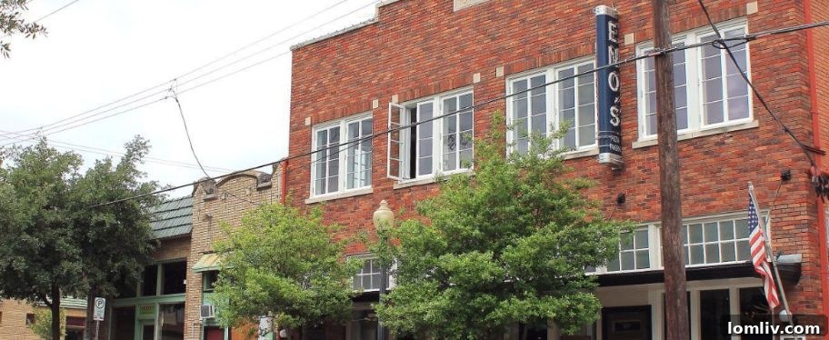 Dallas District 1's 17% Crime Drop: A Testament to Community Engagement 10 Vibrant street scene in the Bishop Arts District, Dallas