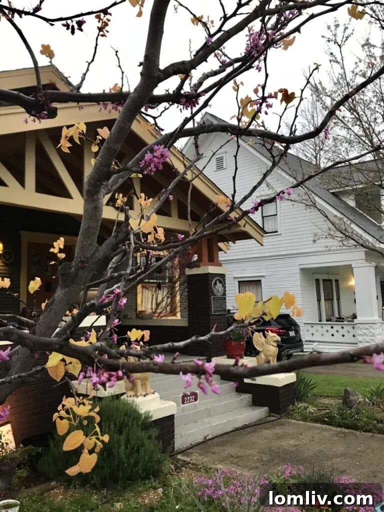 Fairmount street with decorative lamps and historic homes