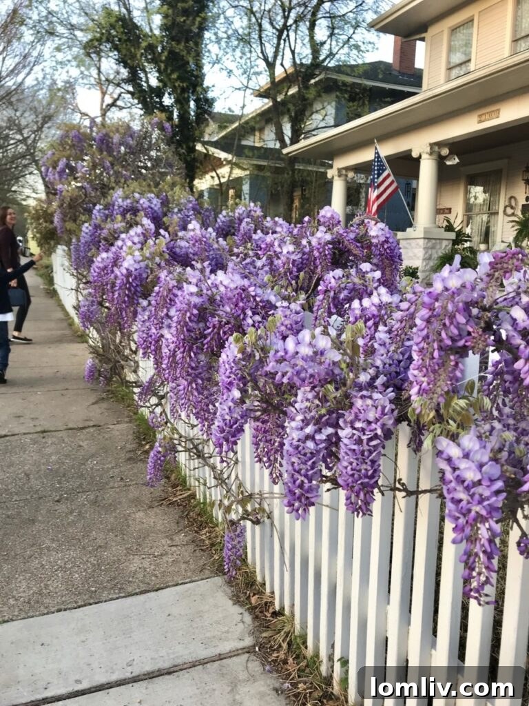 Detailed view of a historic Fairmount home's architecture