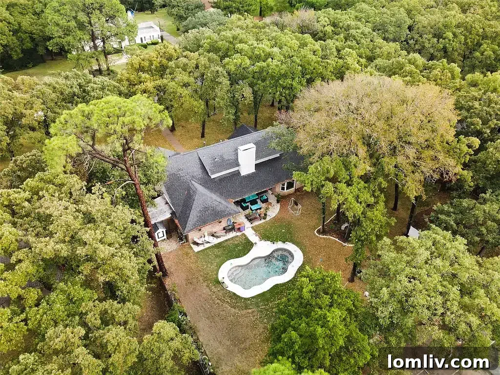 Expansive green backyard, offering an acre of private outdoor space.