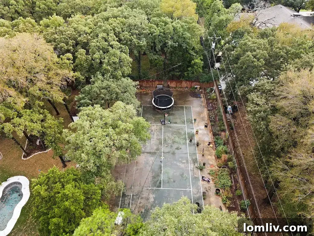 Scenic view of the large backyard, highlighting its potential for outdoor activities.