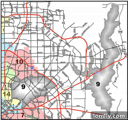 Map of Dallas City Council District 9