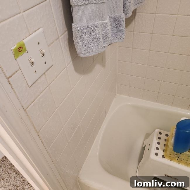 How Your Home Gets Power From Pole to Panel Part 2 5 light switch in the shower