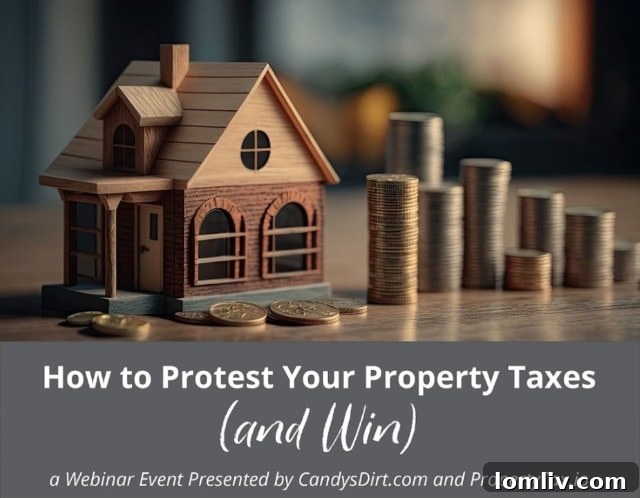 Expert-led webinar on property tax protests