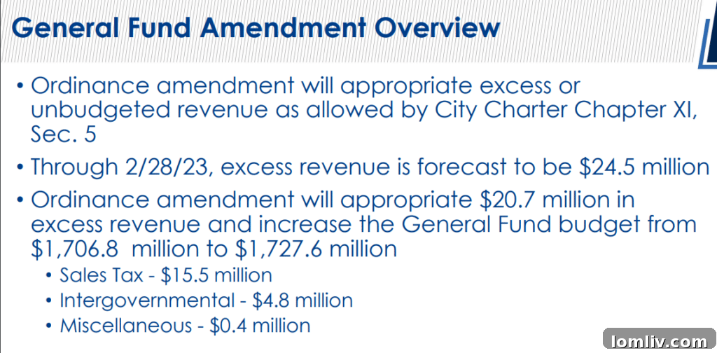 Detailed financial projections for Dallas Water Utilities projects, focusing on stormwater drainage.
