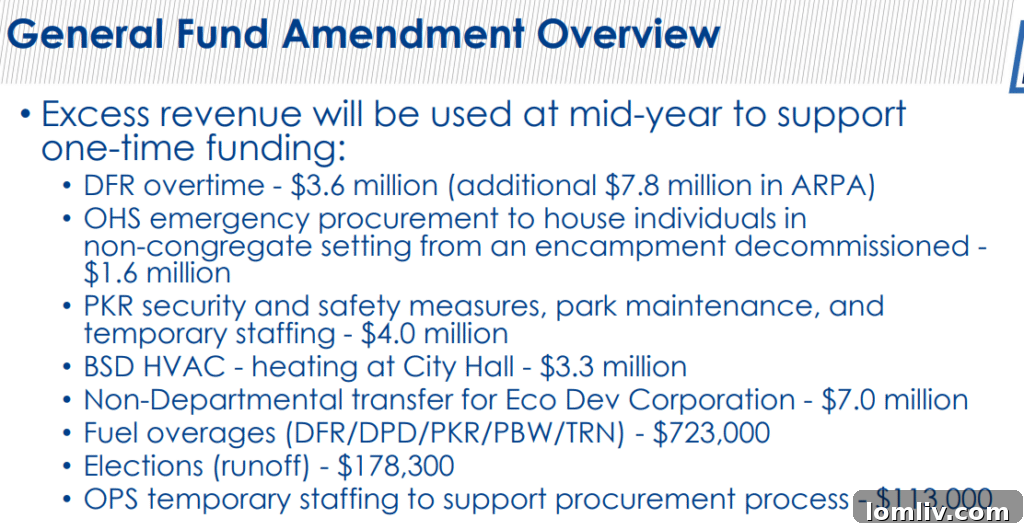 A breakdown of capital fund adjustments for fleet replacement across various city departments.