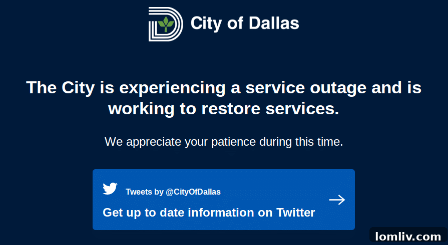 City of Dallas network map showing interconnected systems.