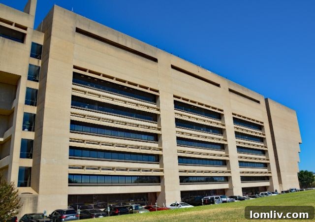 A person working on a computer showing cybersecurity related graphics.