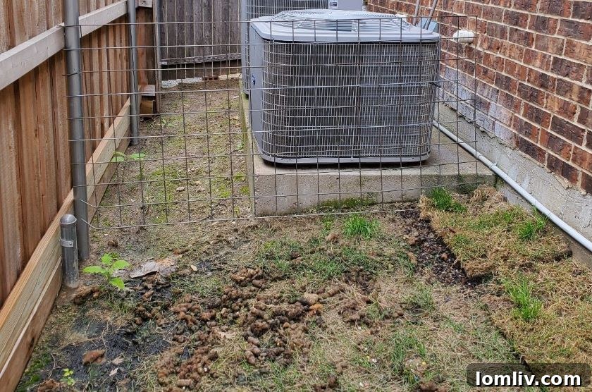 last minute Mother's day gift