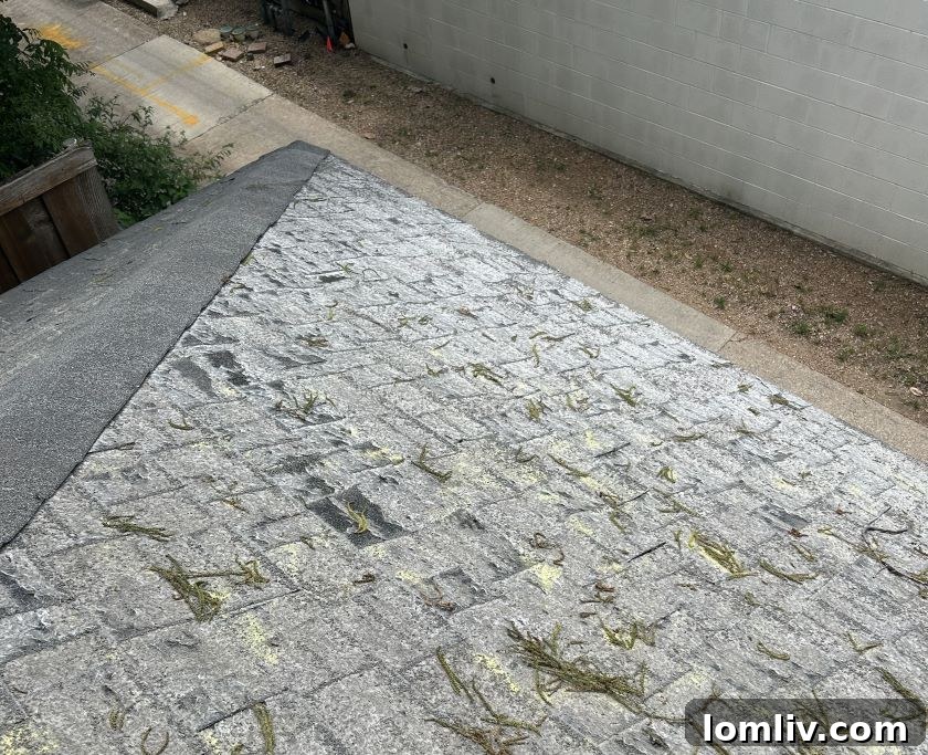 Managing Roof Damage After a Hailstorm 4 roof damage, severe granule loss