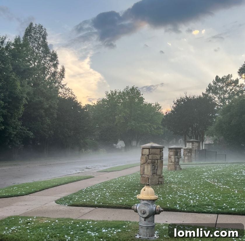 Residential street view after a hail storm, showing leaves and debris on the ground and cars