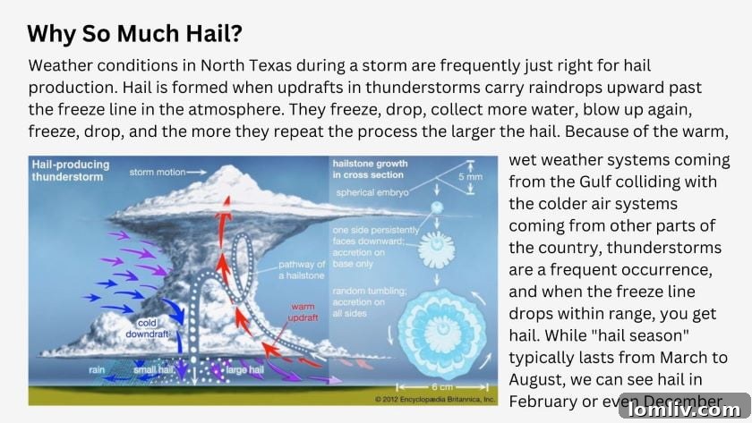 Close-up view of a car windshield cracked from hail damage