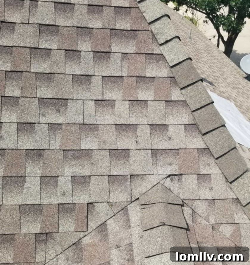 Close-up of a damaged roof showing granules stripped from shingles due to hail impact.