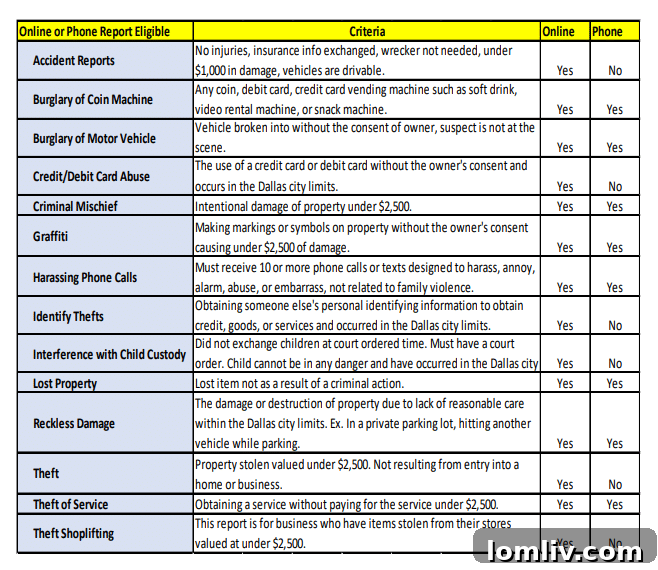 Screenshot of the Dallas Online Reporting System (DORS) interface.