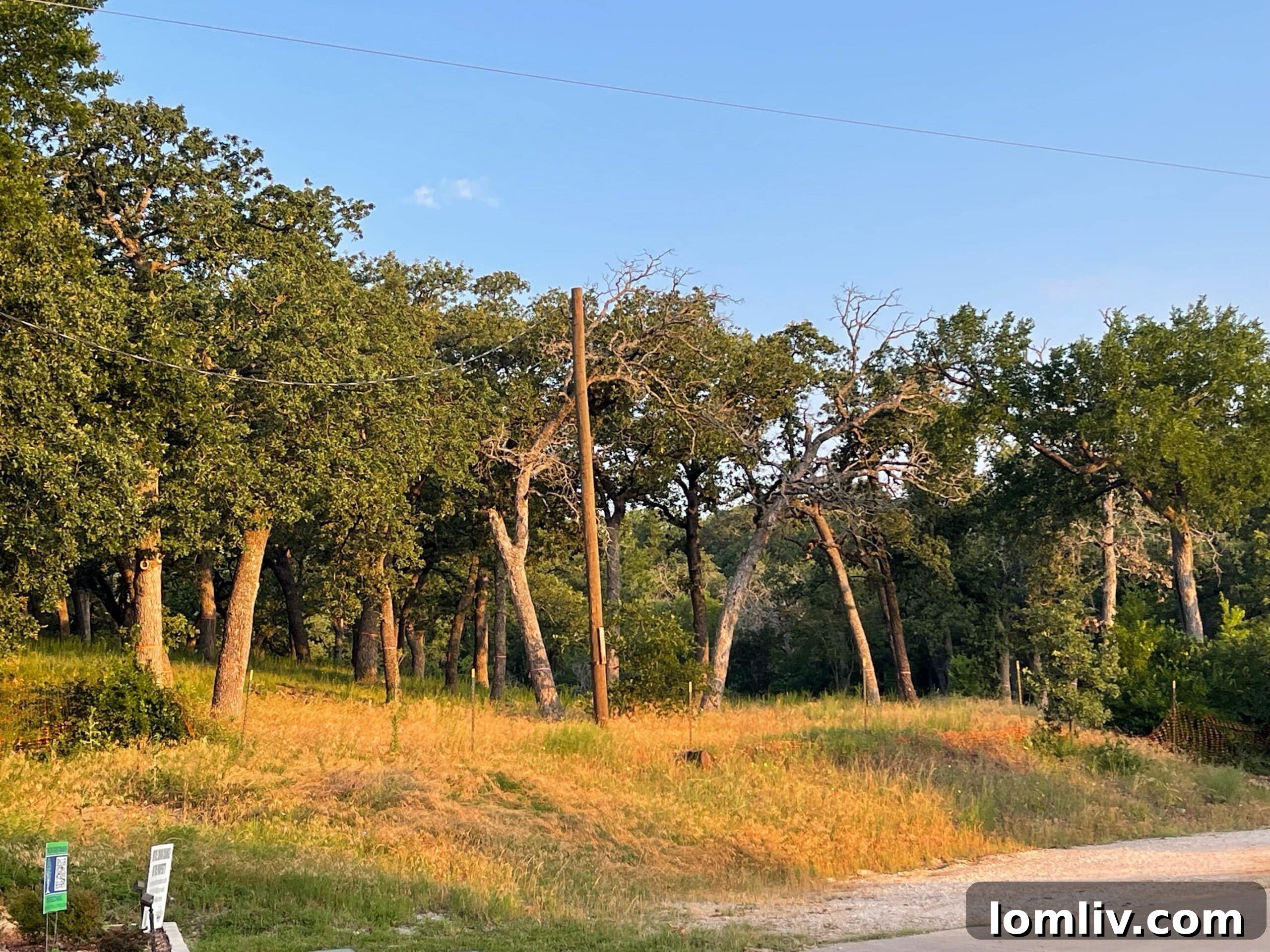 An aerial view showing a tract of land in Colleyville, currently zoned as agricultural, which is the subject of the zoning debate for The Bluffs development.