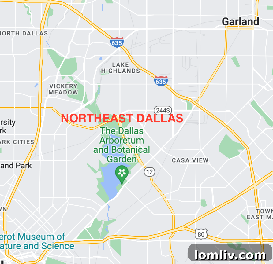 Dallas skyline with White Rock Lake in the foreground, showcasing the scenic beauty of Northeast Dallas