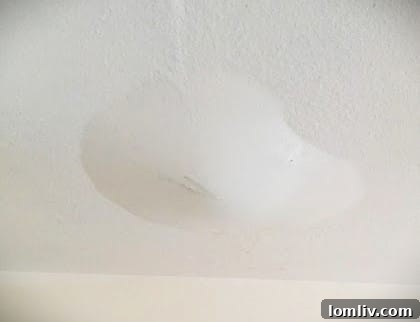 Clogged AC Condensate Line Causing Water Damage