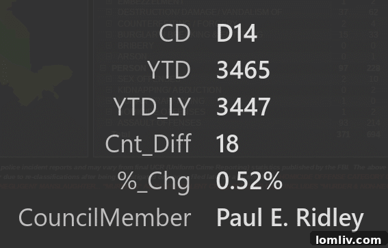 D14 Residents Obsess Over Short-Term Rentals, Not Stable Crime Rates 11 Dallas Police Department