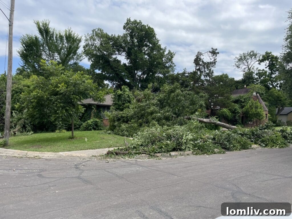 Community members assessing damage and fallen trees after the severe weather.