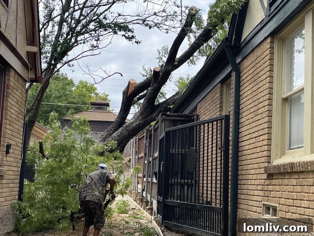 Emergency crews working to clear a street blocked by storm debris.