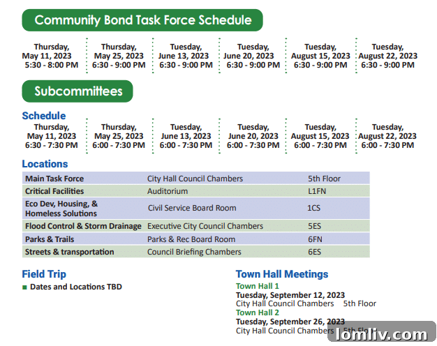 Dallas infrastructure challenges and bond needs