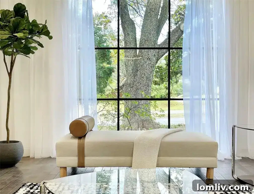 Rooms filled with natural light