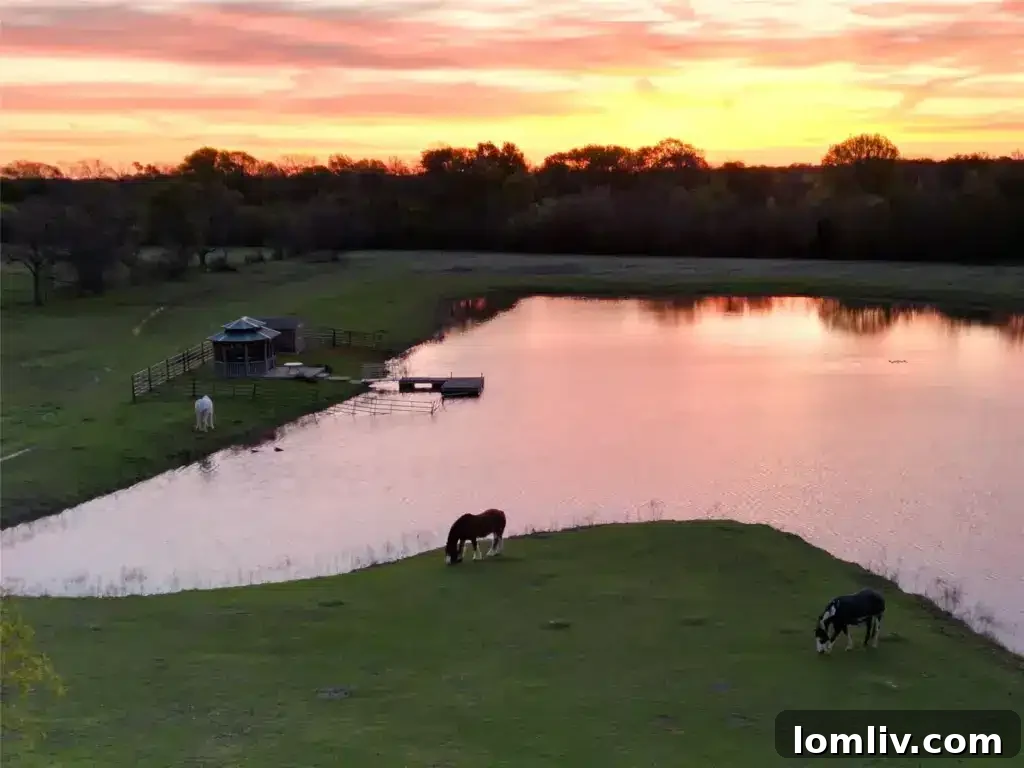 Expansive view of a luxury ranch in East Texas, evoking the Yellowstone lifestyle with open fields and natural beauty.