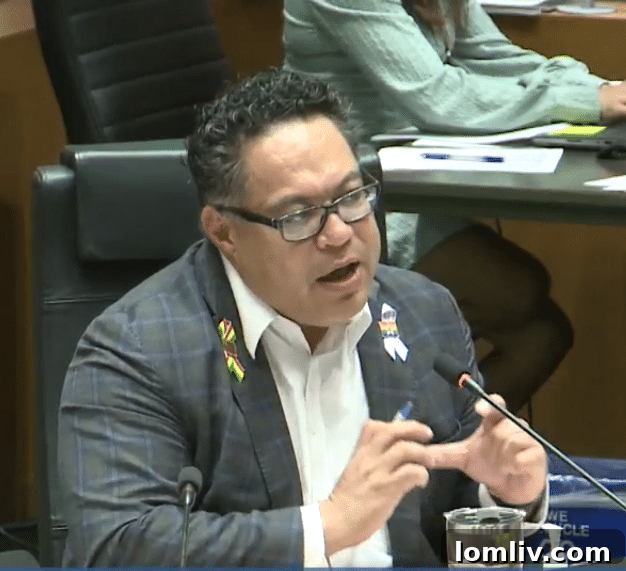 Dallas City Councilman Omar Narvaez speaks at a meeting.