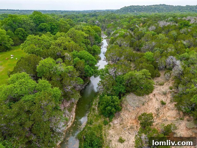 Robinson Creek winding through DBar6 Ranch