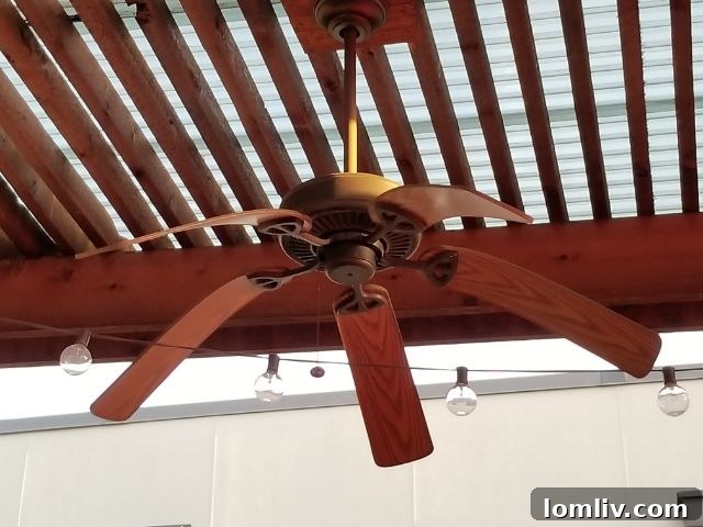 North Texas Summer: Save on AC When Youre Too Hot To Care 2 cut cooling costs this summer in North Texas