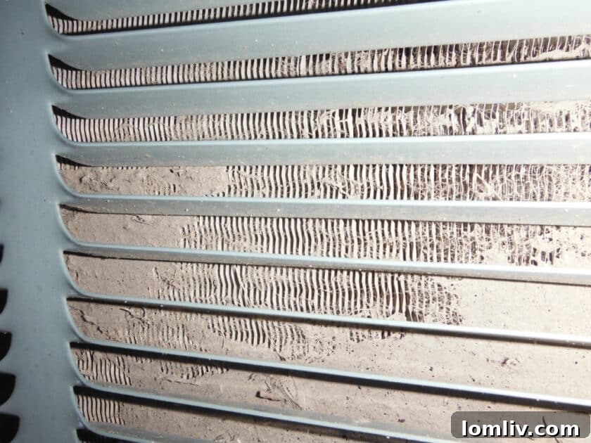 North Texas Summer: Save on AC When Youre Too Hot To Care 3 cut cooling costs this summer in North Texas