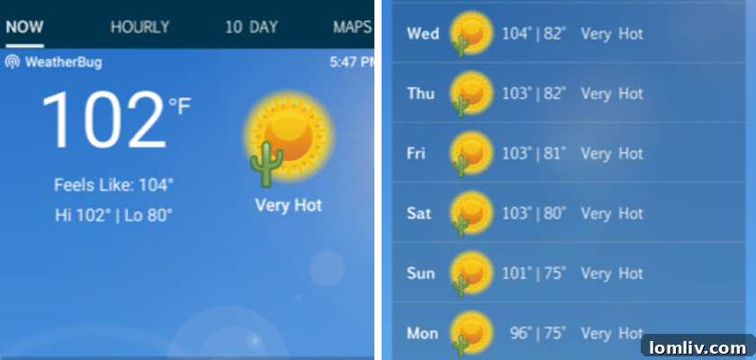 Energy Savings For Your Home